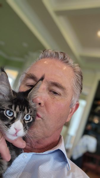 kitten